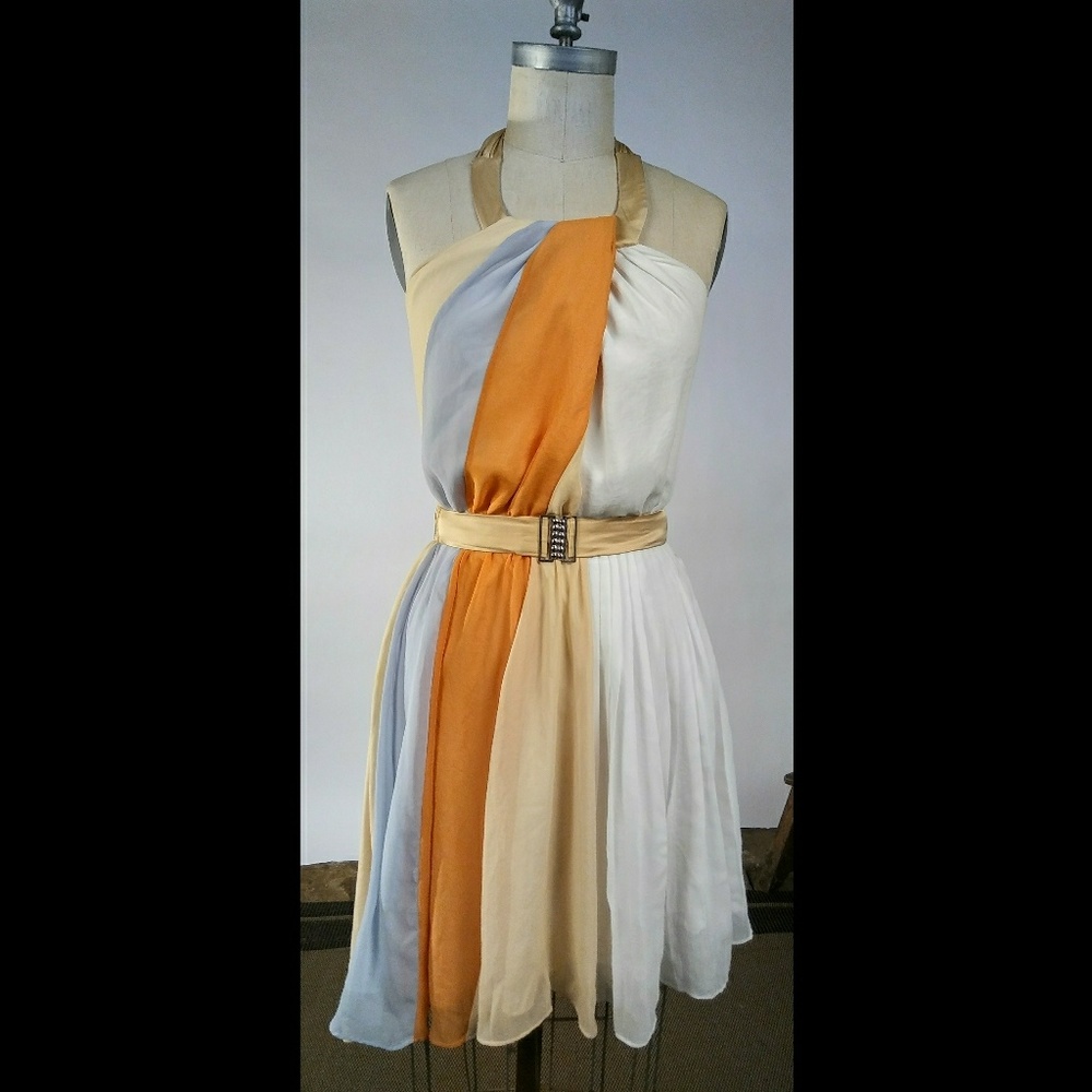 Sm BCBGeneration Greecian Goddess Chiffon Dress